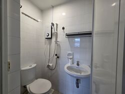 Dahlia Park Condominium (D17), Condominium #541473801